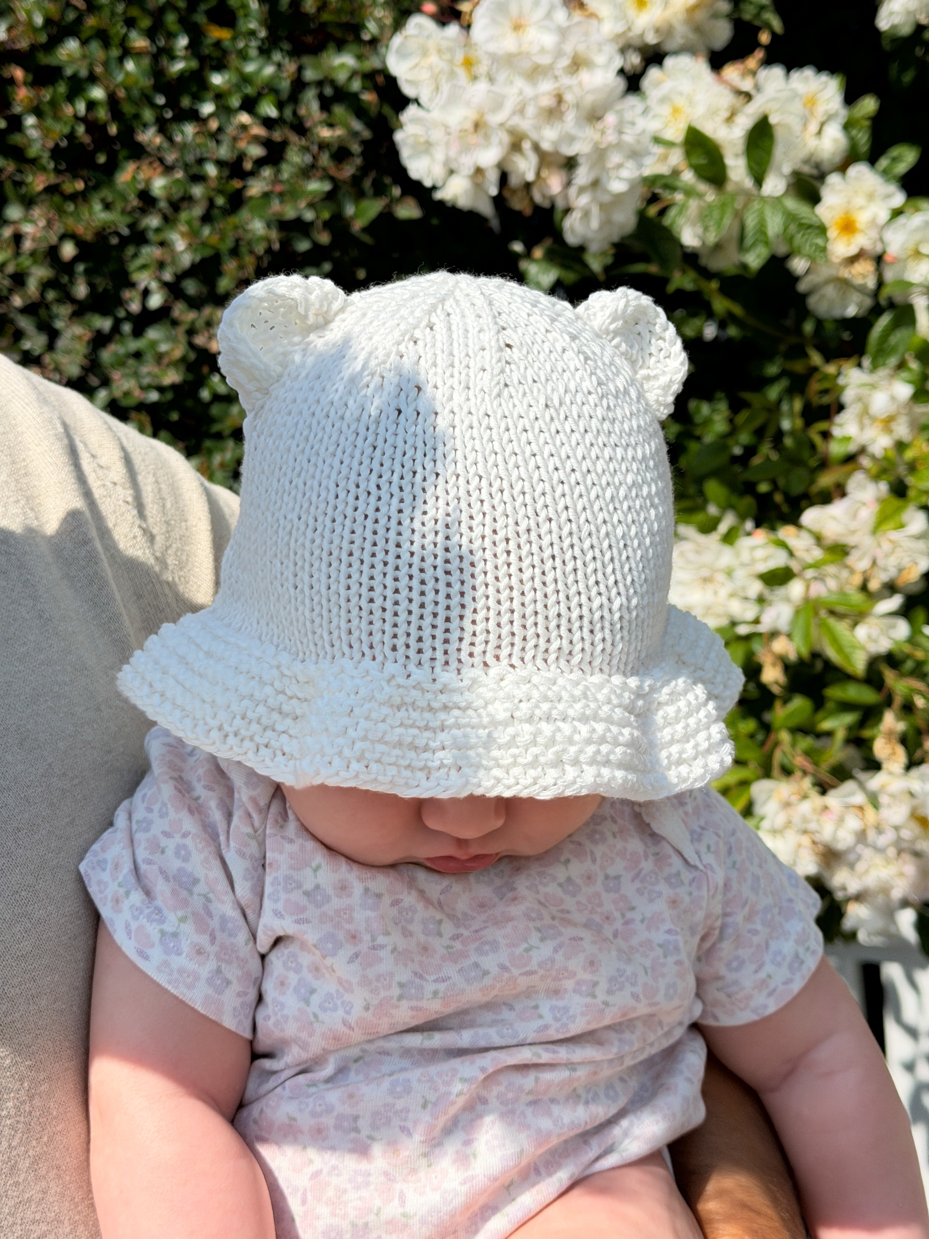 Teddy Solhatt