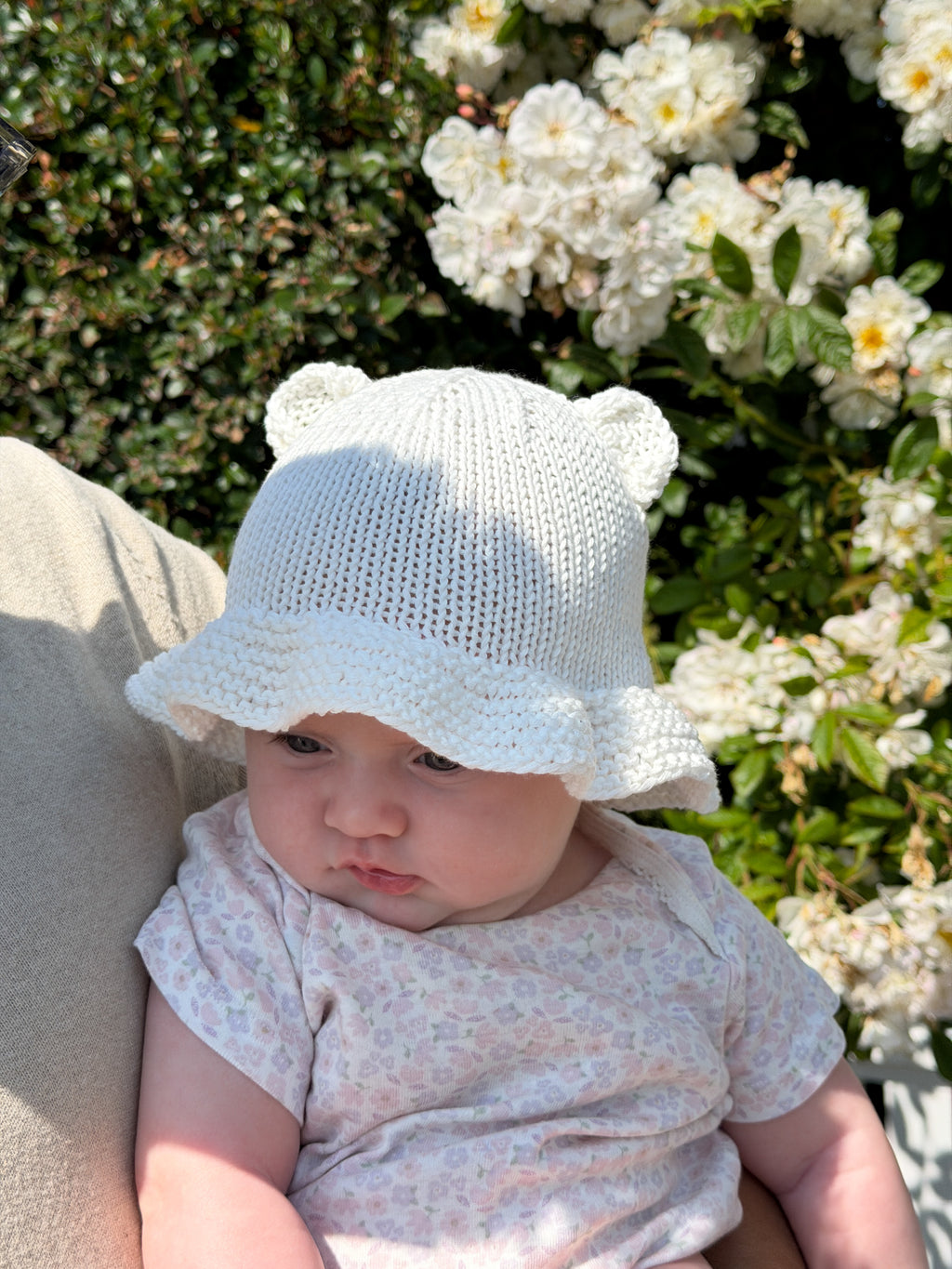 Teddy Solhatt