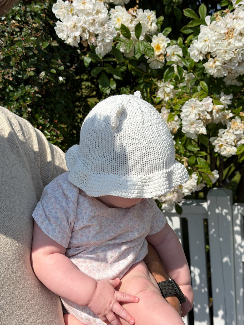 Teddy Solhatt